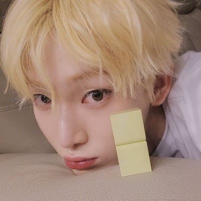 dollnooz's profile picture