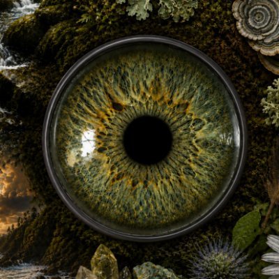 WitchyMcWitch's profile picture