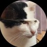 ゆーすけ profil fotoğrafı