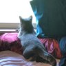 Фото профиля Beanlovesmoose