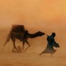 ابو عمير النهدي 🇸🇦 profil fotoğrafı