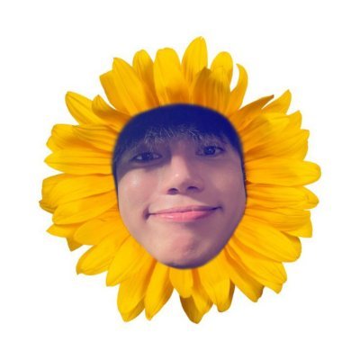 stellberrychick's profile picture