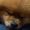 。's profile picture