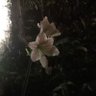 萌々花's profile picture