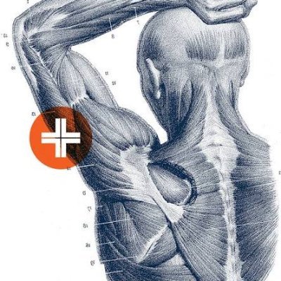 Postures Blueprint's profile picture