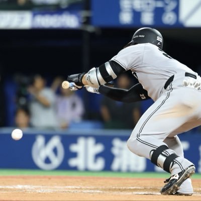 さざれ石's profile picture