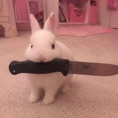 Spiiiiicy脆脆's profile picture