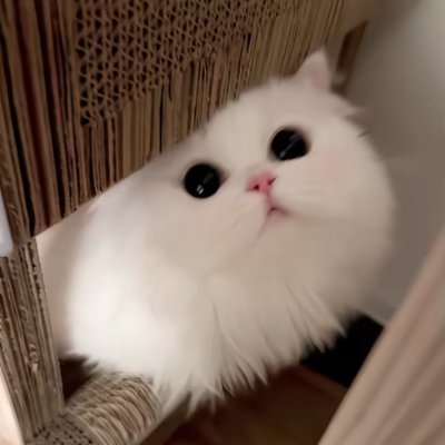 deyasantos19's profile picture
