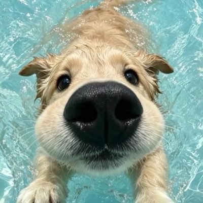 bubuuqy's profile picture