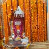 Фото профиля सनातन रक्षा संघ