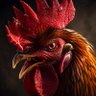 HOROZ profil fotoğrafı