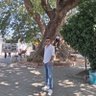 Nihat's profile picture