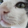 yoyaa profil fotoğrafı