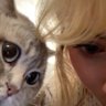 Profilbild von dilara ꕤ 🐾