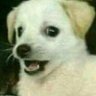 La Vida Misma's profile picture