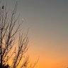 Sushil Basyal's profile picture