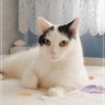 Maria K.'s profile picture