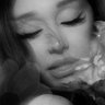 Profilbild von bren ★ ໑̣ ꕤ｡˚