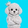 Profilbild von Stan