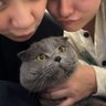 Fūrin profil fotoğrafı