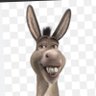 Radio Donkey profil fotoğrafı