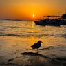 Фото профиля Çalıkuşu🐦