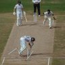 Profilbild von cricket view