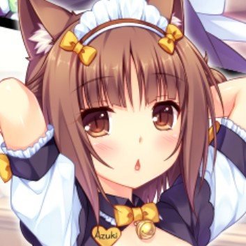 ayaru's profile picture