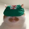 Profilbild von rez