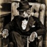 Profilbild von Noonz