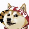 Profilbild von Jollypocket