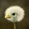 แโ ^. .^โ๐ช's profile picture