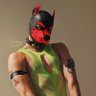 Pup M3gabyte 🔜 FOLSOM SF profil fotoğrafı