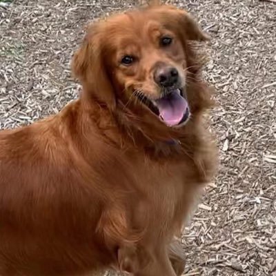 Greg Lederer's profile picture
