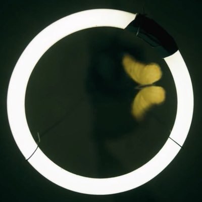 CaseyBookAuthor's profile picture