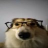 Profilbild von Novaa