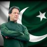 🐥عمران خان کا چوزہ🐥's profile picture