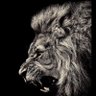 𓃭's profile picture