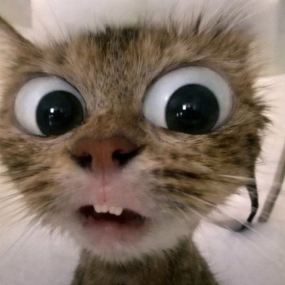 JJ's profile picture