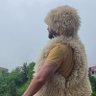 Kronik Sakat 的头像