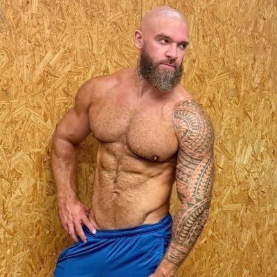 sergebear's profile picture