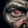 PetGorilla profil fotoğrafı