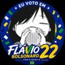 Brazilian Girls' Last Tour Enjoyer 🇧🇷 🟩🟨🟦 的头像