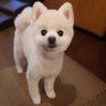 Profilbild von waniwani40
