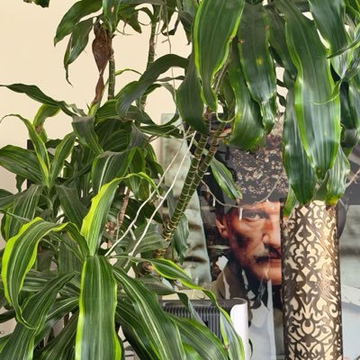 🇹🇷 Gökhan Bilik 🇹🇷's profile picture