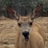 Profilbild von Wyoming isn’t real