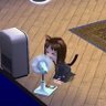 miumiu's profile picture