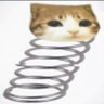 Profilbild von amelio goonelio ganhante do PROXIMO quarter quelll