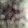 Profilbild von Zzzxzxcccctrl