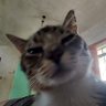 gwra's profile picture